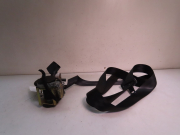 CEINTURE AVG