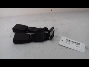 ANCRAGE CEINTURE ARG