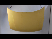 CAPOT