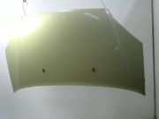 CAPOT