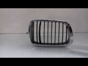 GRILLE D CAPOT